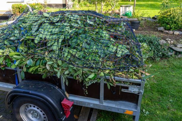 Best Dumpster Rental Services  in Riva, MD